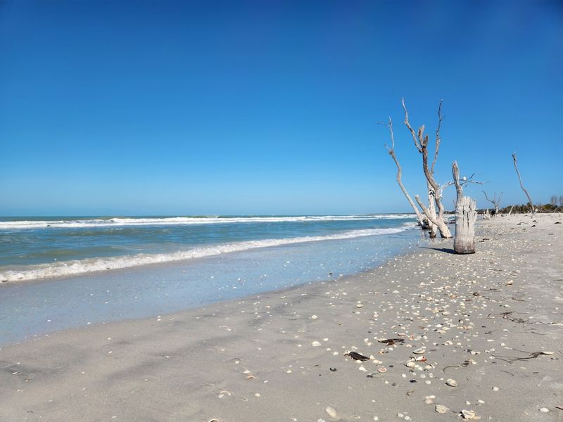 These 13 Florida Beaches Are Perfect When You Want Space to Breathe