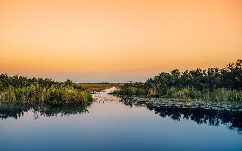 Full Moon Kayak Adventures Through Mangrove Tunnels