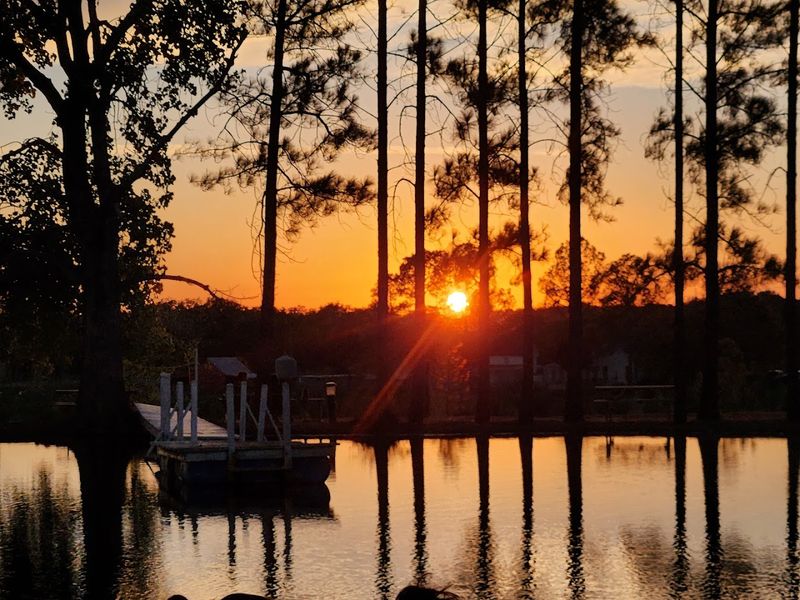 A Peaceful Pond That Steals the Show