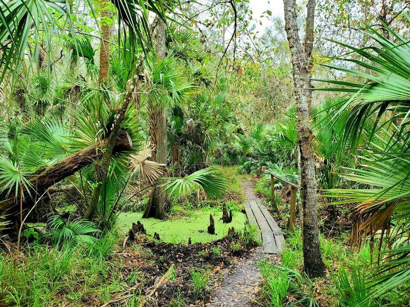 A Canopy That Feels Cinematic