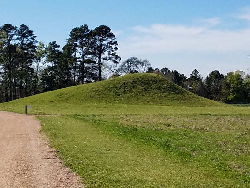 Walking Among Giants: The Three Ceremonial Mounds