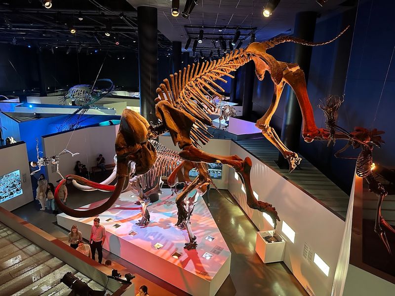 Morian Hall of Paleontology