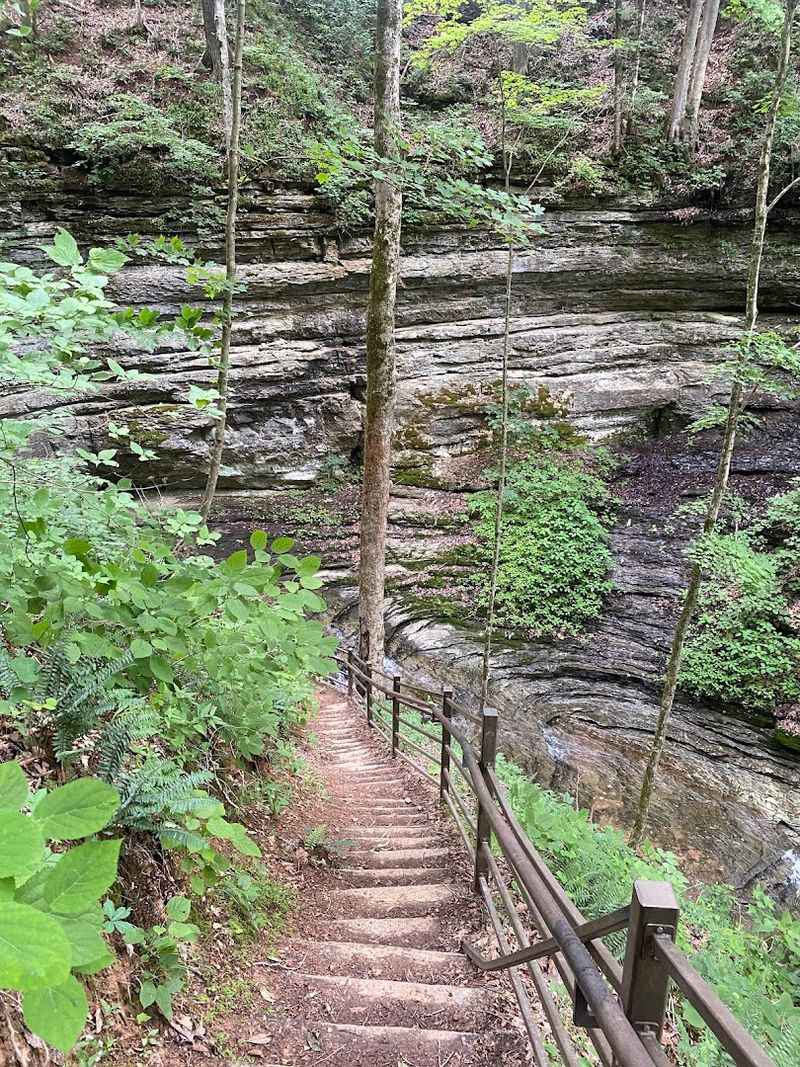 Why Winding Stairs Park Is a Great Stop for Nature Lovers