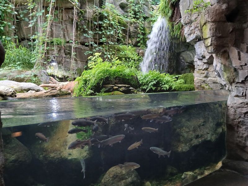 Explore the River Journey Exhibits