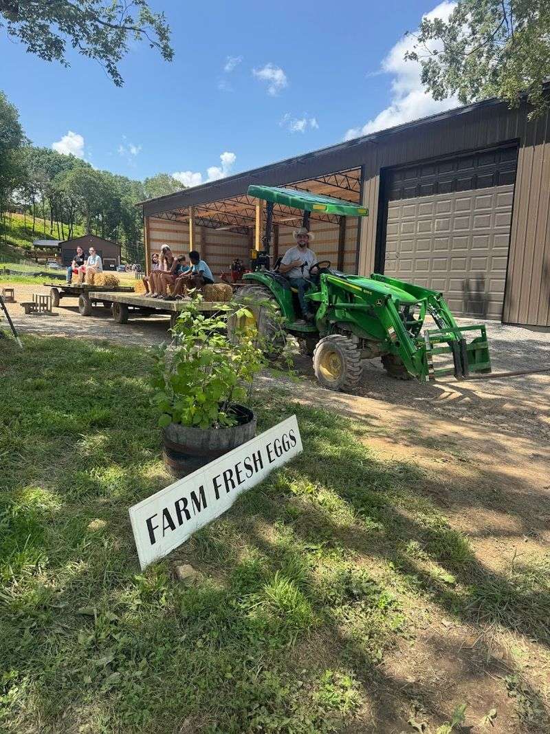 A Tennessee Farm Built With A Bigger Purpose