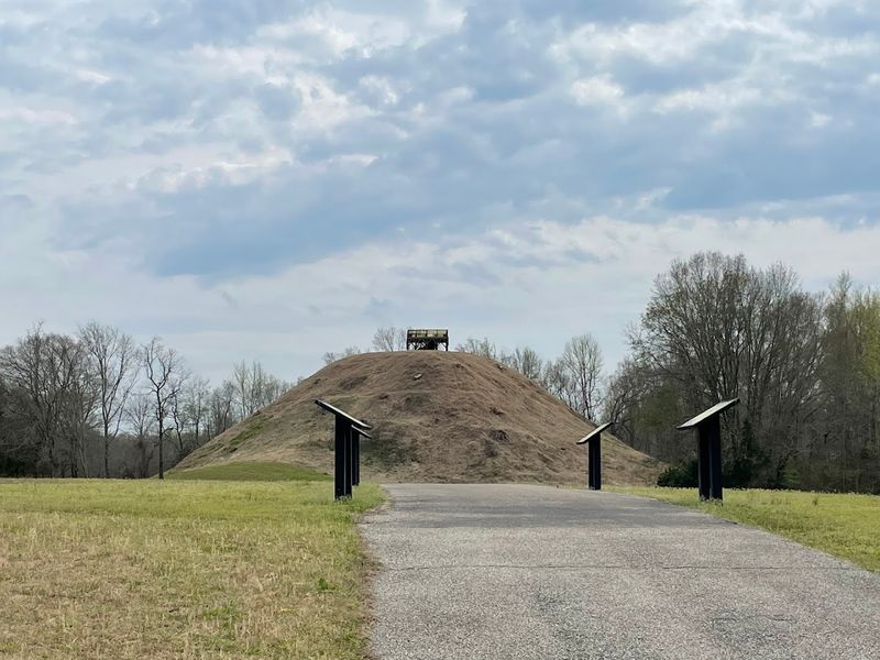 The Civilization That Built Pinson Mounds
