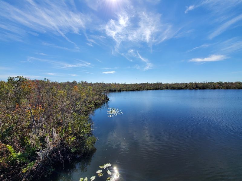 Sawgrass Lake Park Boardwalk & Nature Trail (St. Petersburg)