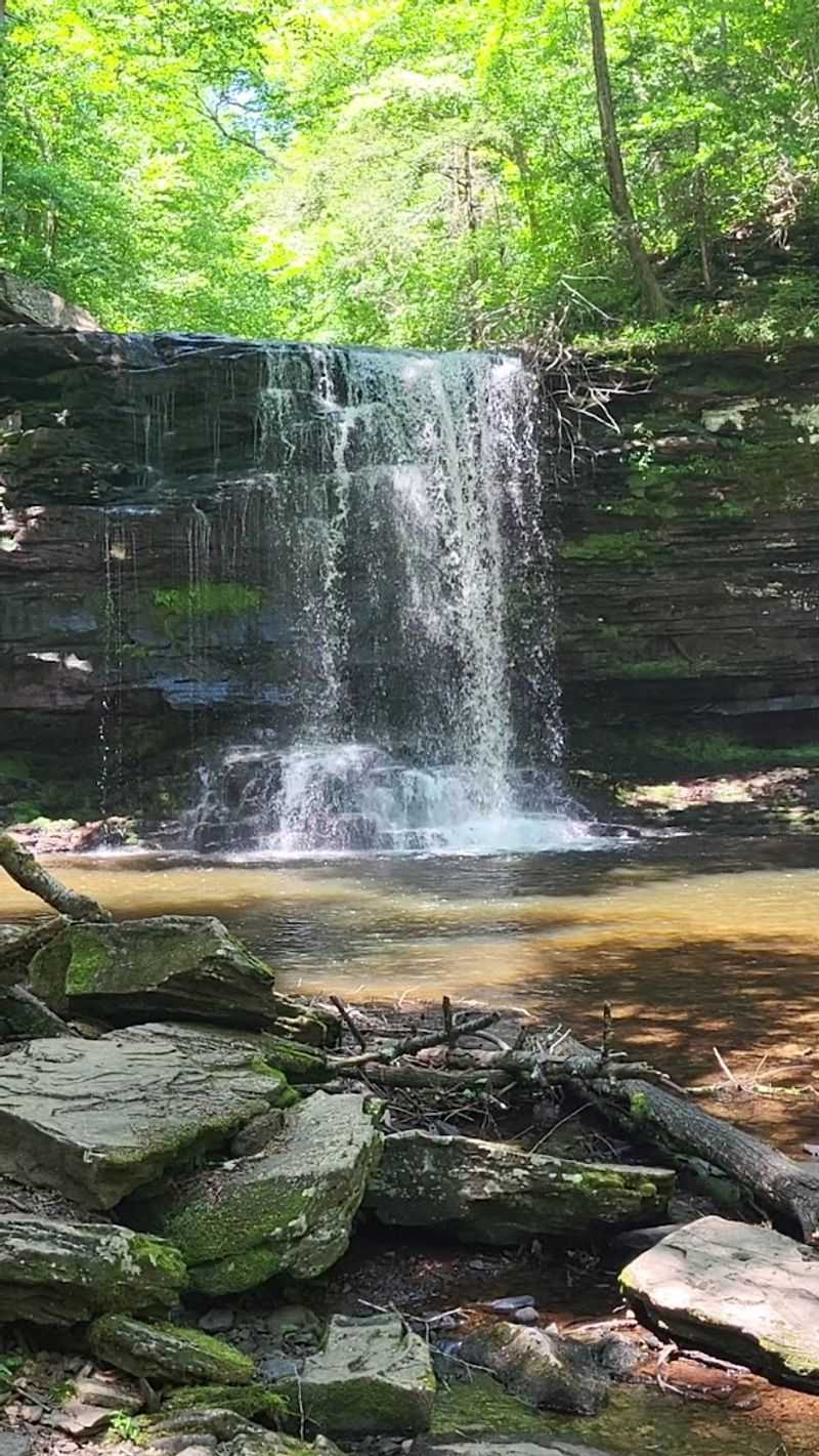 Ricketts Glen State Park