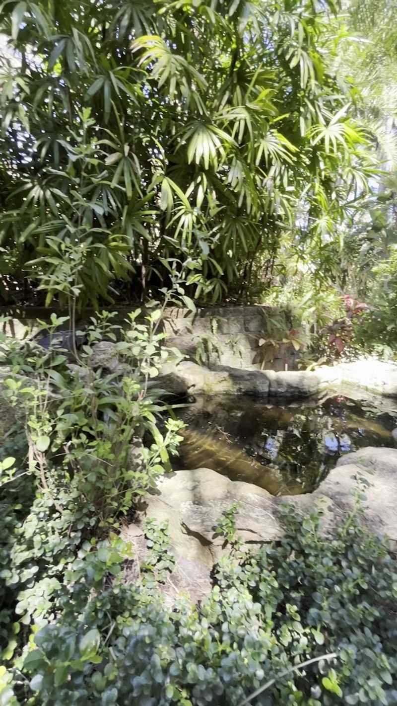 Butterfly Aviary and Quiet Meditation Spaces