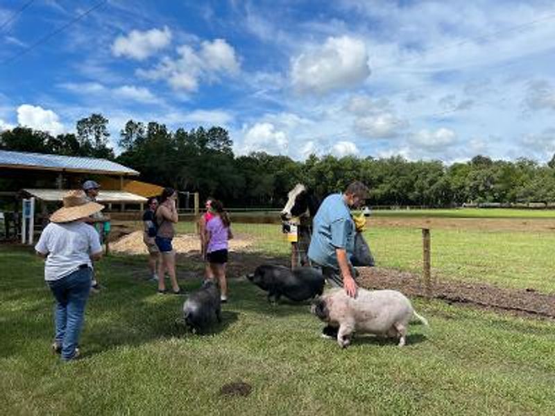 Daily Sanctuary Tours