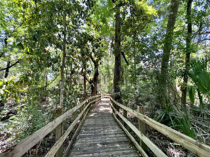 Scenic Boardwalk Leading to River Overlook