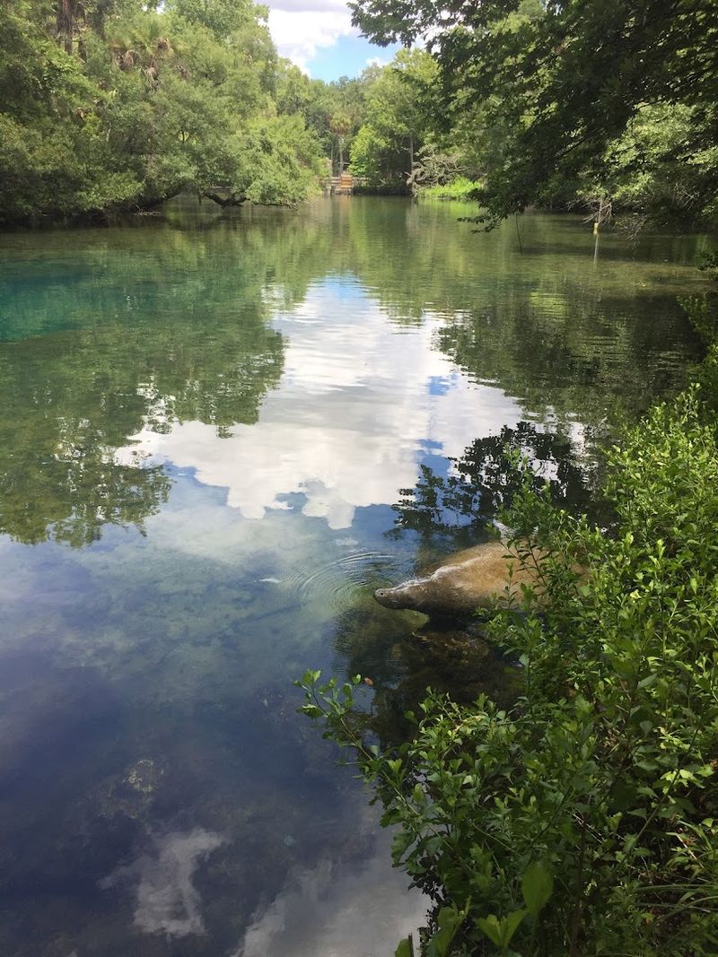 Homosassa River