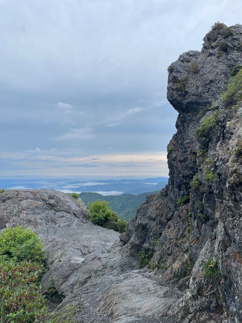 Where Is Charlies Bunion?