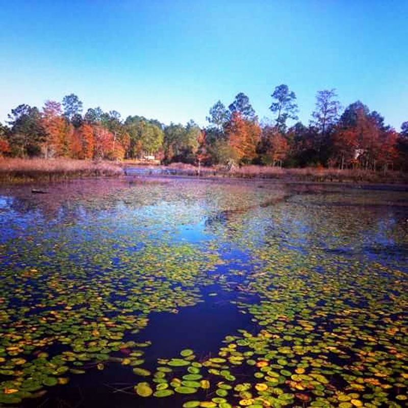 Easy Access to Pensacola Without the Crowds