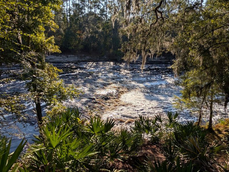 Hike to Florida's Largest Whitewater Rapids at Big Shoals