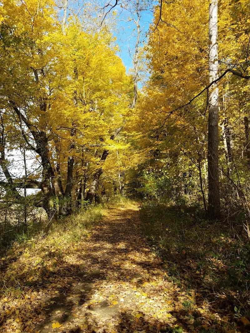 Seasonal Beauty and Wildlife