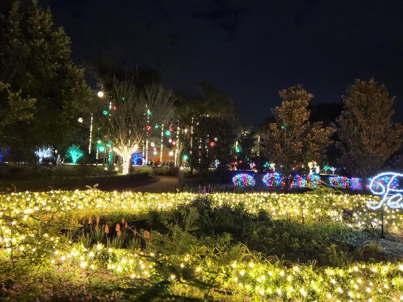 Seasonal Festivals Transform the Gardens Completely