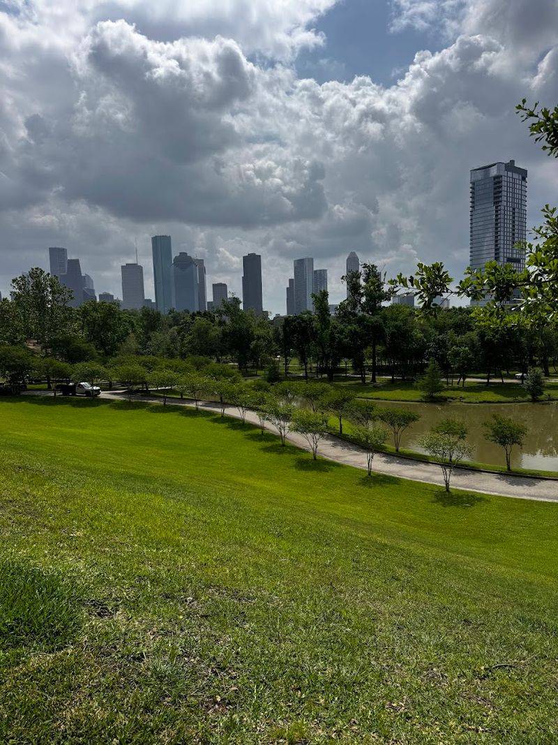 Stunning Downtown Skyline Views
