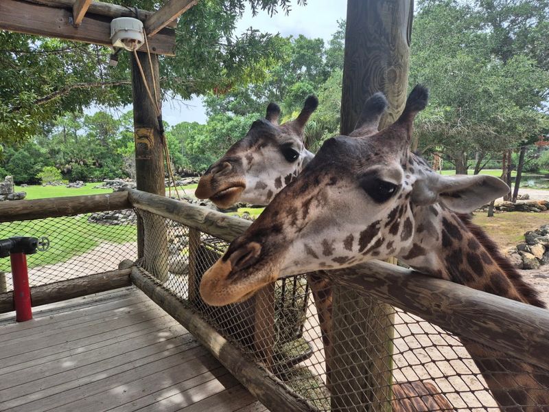 Brevard Zoo (Melbourne)