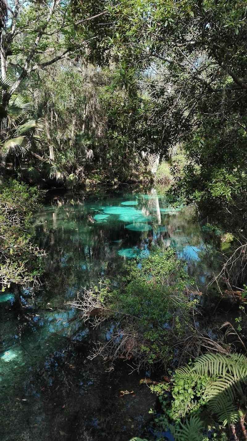 Finding the Hidden Spring