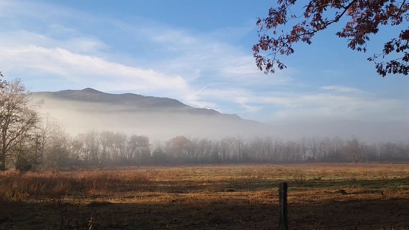 Best Times of Year to Visit Cades Cove