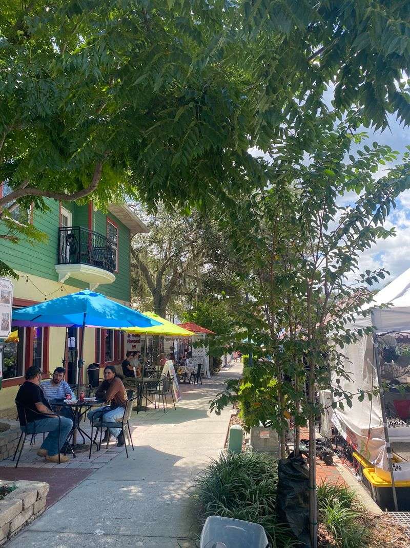 Mount Dora Arts Festival Brings Thousands to Downtown