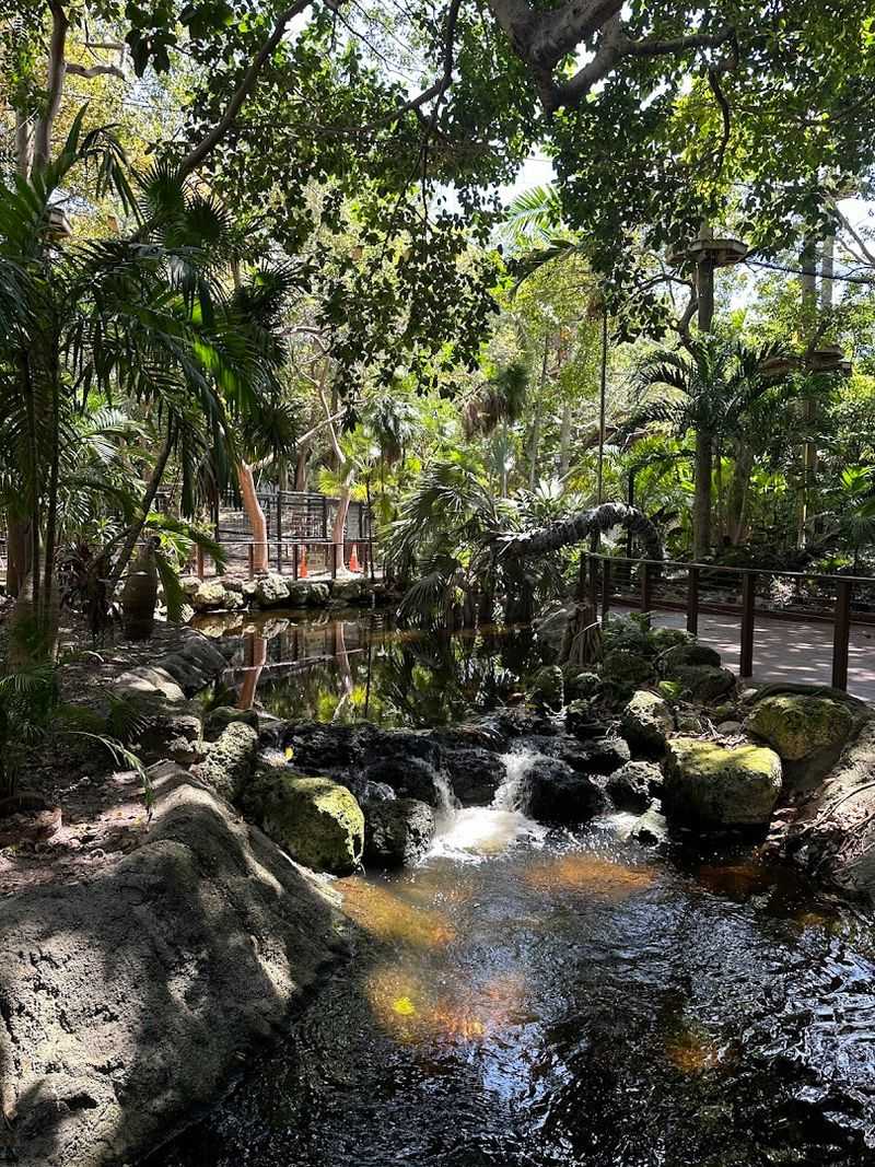 The Story Behind the Garden and Its Japanese Roots