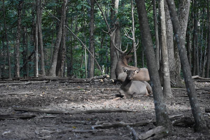 The Peaceful Setting Makes The Experience Even Better