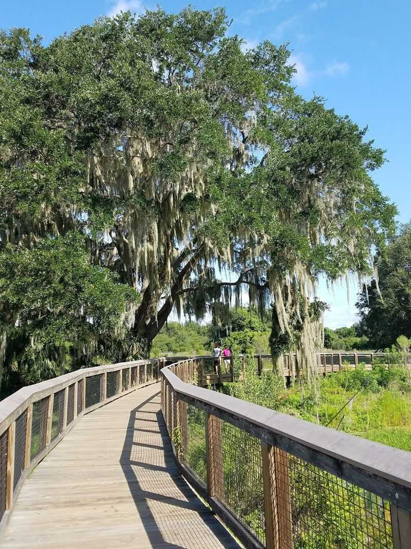 La Chua Trail (Paynes Prairie Preserve State Park)