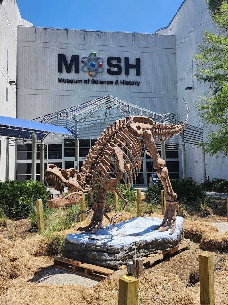 Museum of Science & History (Jacksonville)