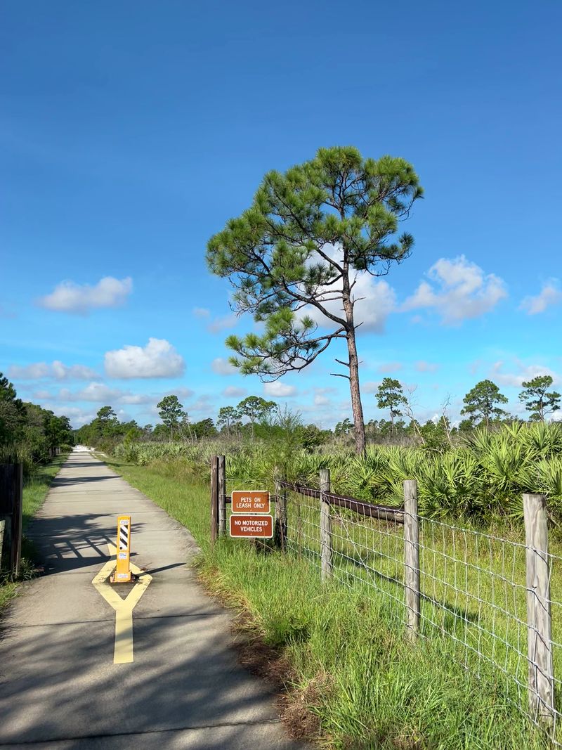 Paved Path for Easy Access