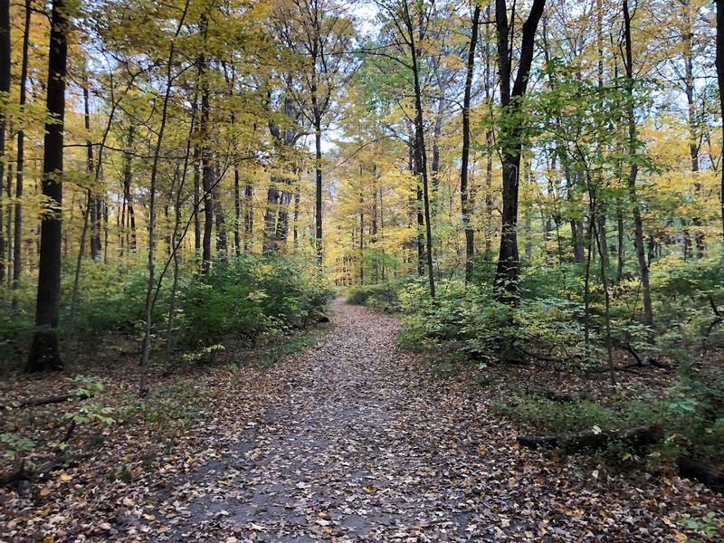 Seasons In The Glen: Fall Glow To Summer Shade