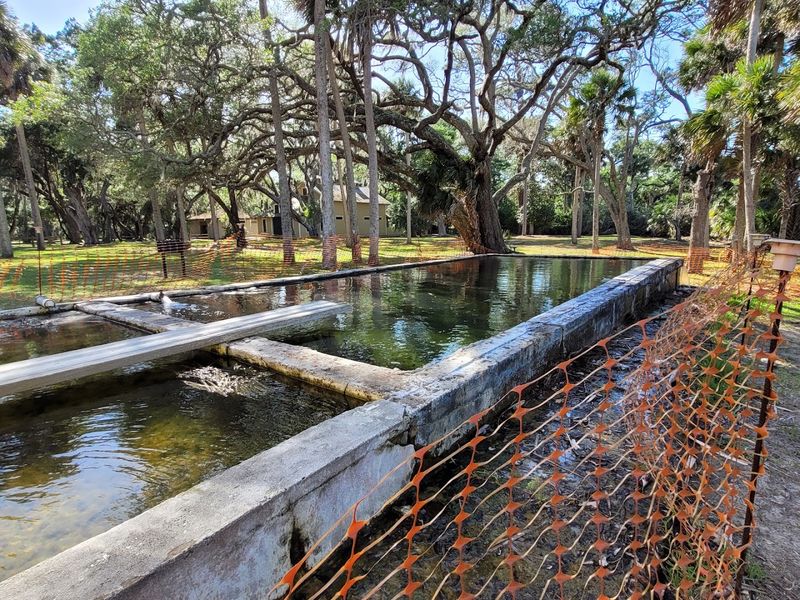 Florida's First In-Ground Swimming Pool