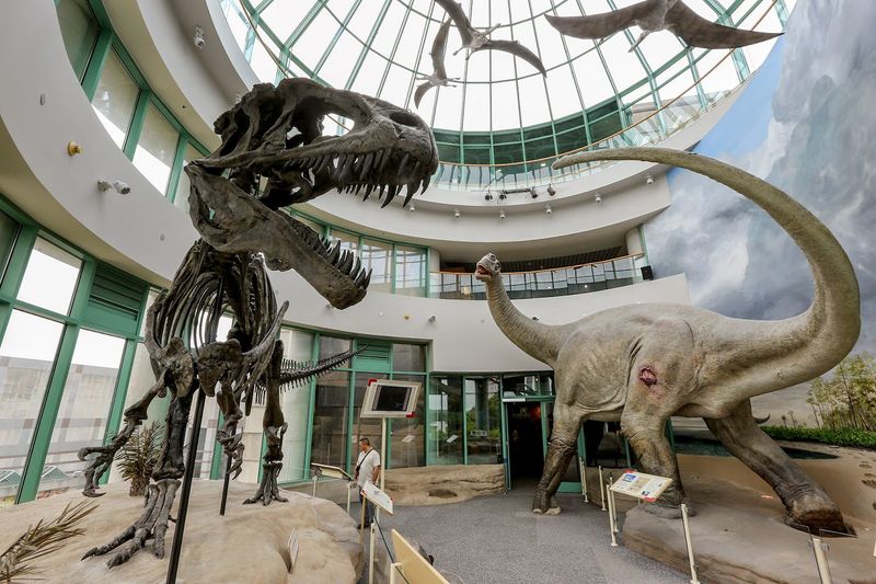 North Carolina Museum of Natural Sciences (Raleigh)