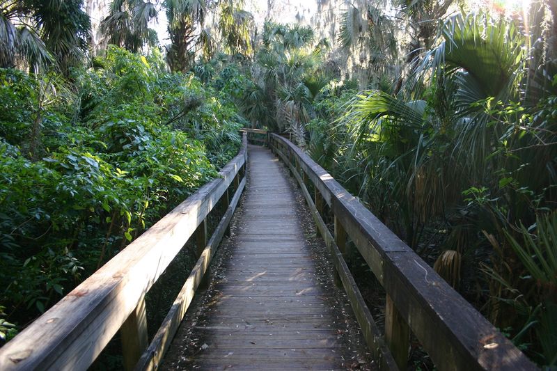 Planning, Fees, and Pro Tips