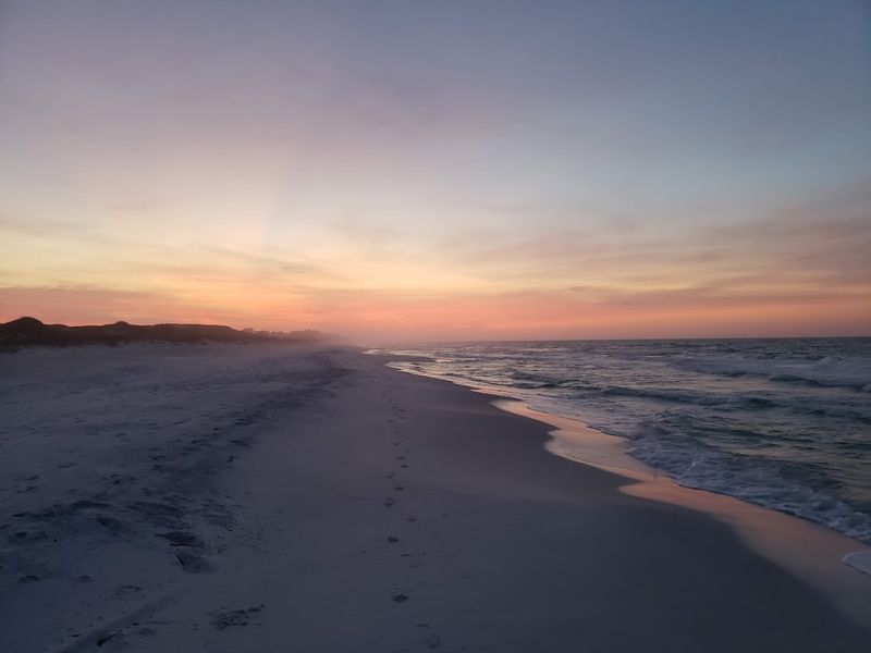 Topsail Hill Preserve Trails (Santa Rosa Beach)