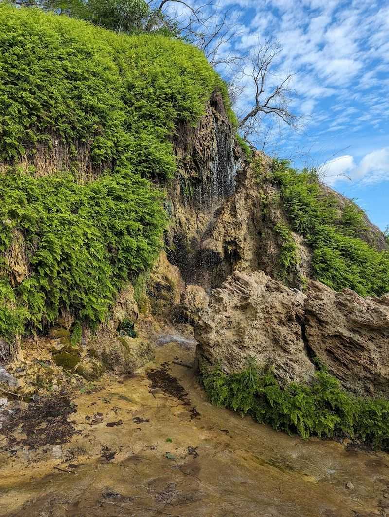 Why It's Worth Every Step