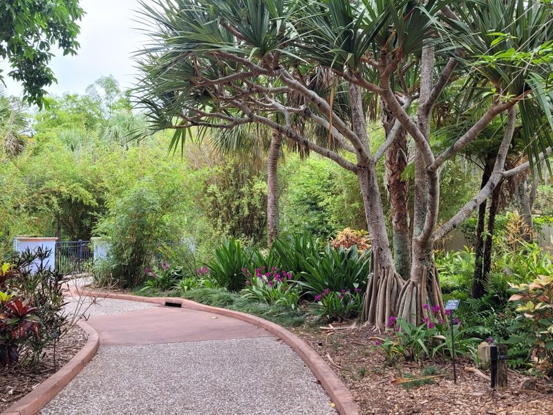 Native Plant Collections You Won't Find Anywhere Else