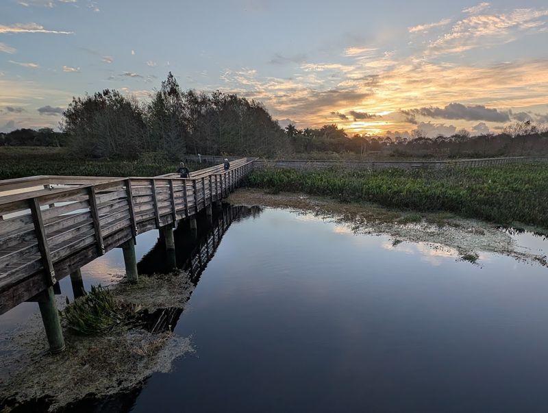 Walk Above the Wetlands at Green Cay Nature Center