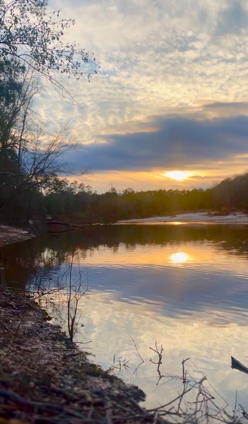 Peaceful Escape Near Beaumont