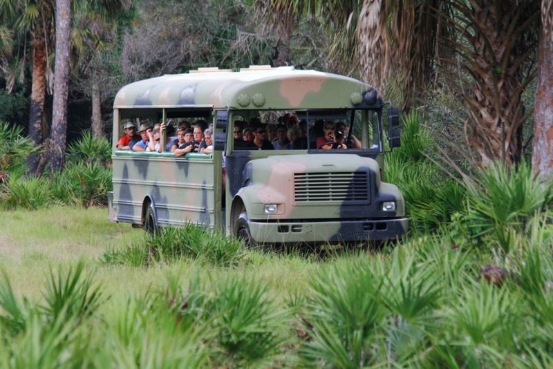 Babcock Ranch Eco Tours (Punta Gorda)