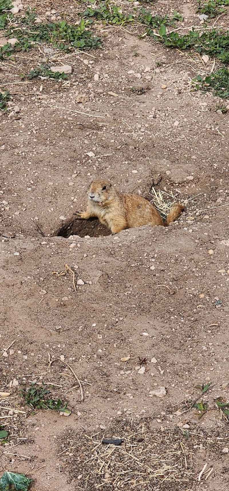 They're Literally Everywhere You Look