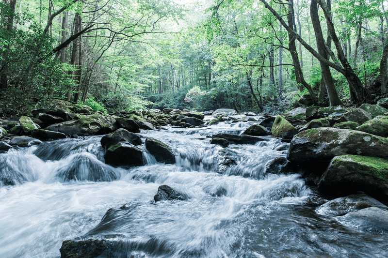 The Surrounding Mountains, Waterways, And Trails Shape Life Here In Every Season