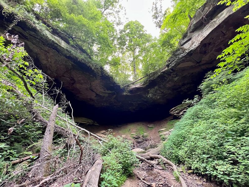 Salt Fork Lodge & Conference Center, Kimbolton, Ohio