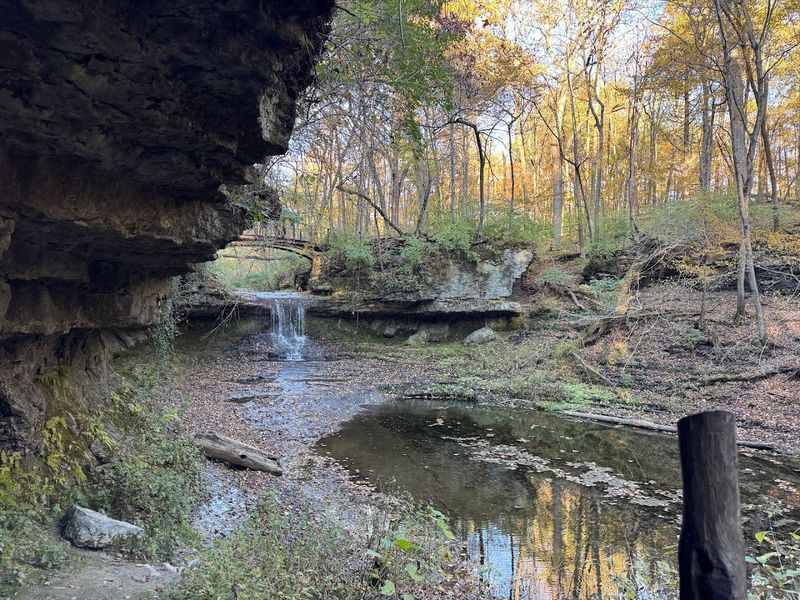 The Raptor Center: Close Encounters With Care