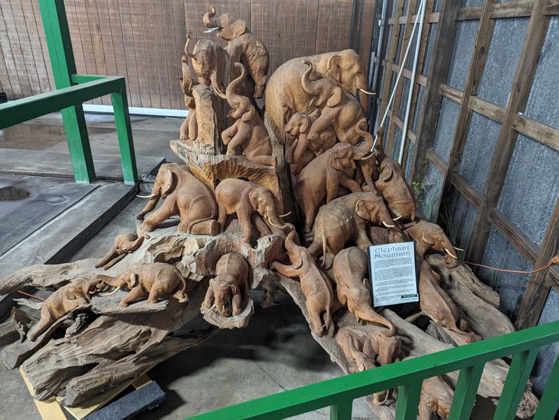 Gift Shop and Giving Back