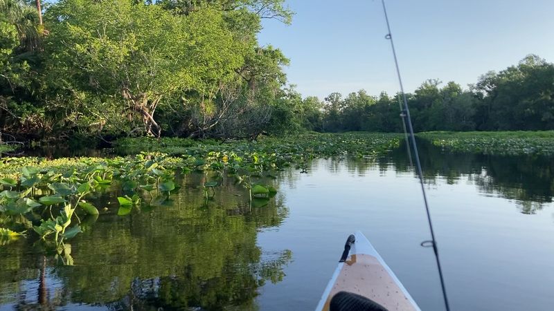 Wekiva River (Central Florida)