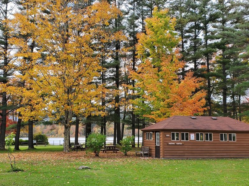 Seasonal Strategies and Weather Wisdom