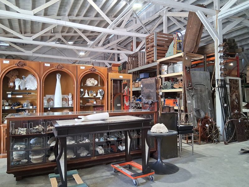 Where History Stacks Higher Than The Shelves