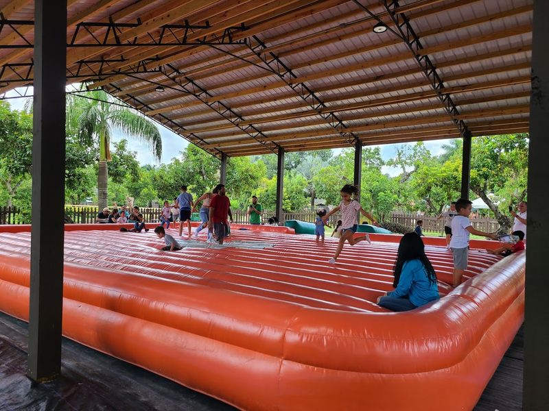 Bounce Pad and Play Zones